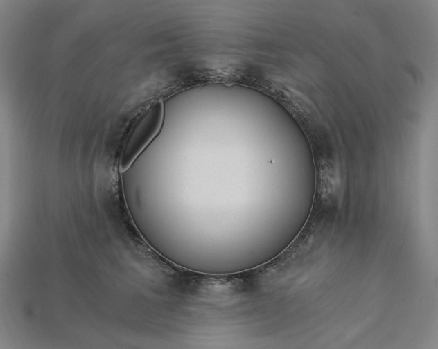 X0000115240613200911131705