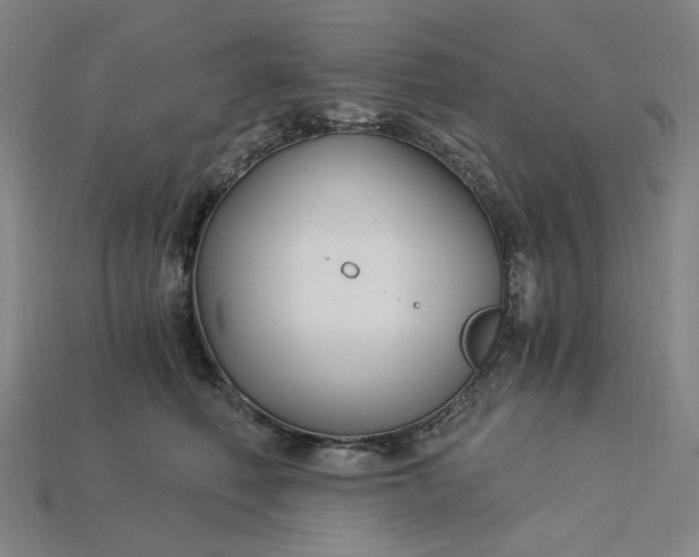 X0000115240614200911131705