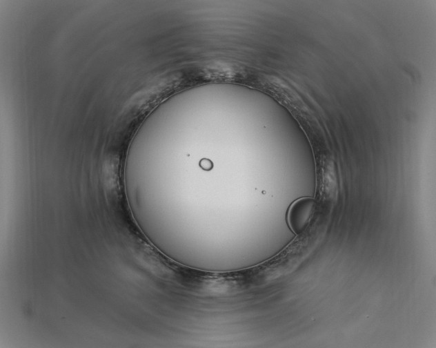 X0000115240616200911131705