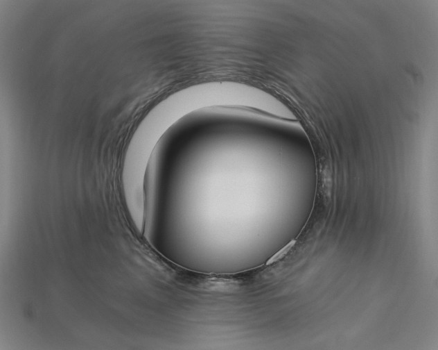 X0000115240617200911131705