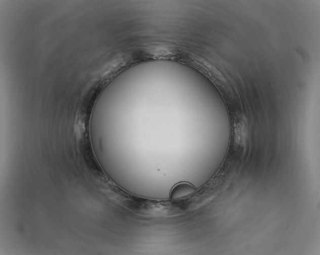 X0000115240618200911131705