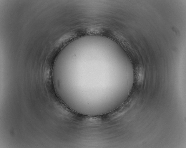 X0000115240619200911131705