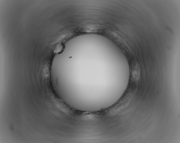 X0000115240620200911131705