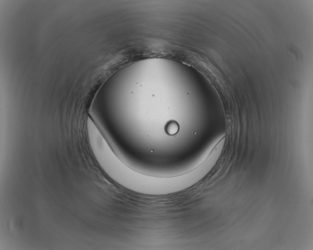 X0000115240621200911131705