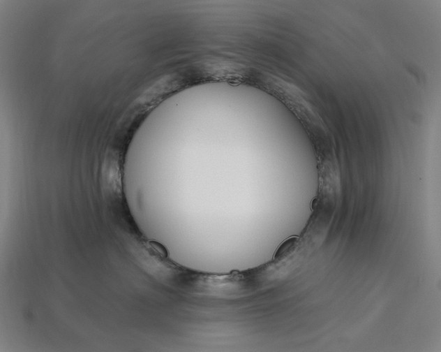 X0000115240622200911131705