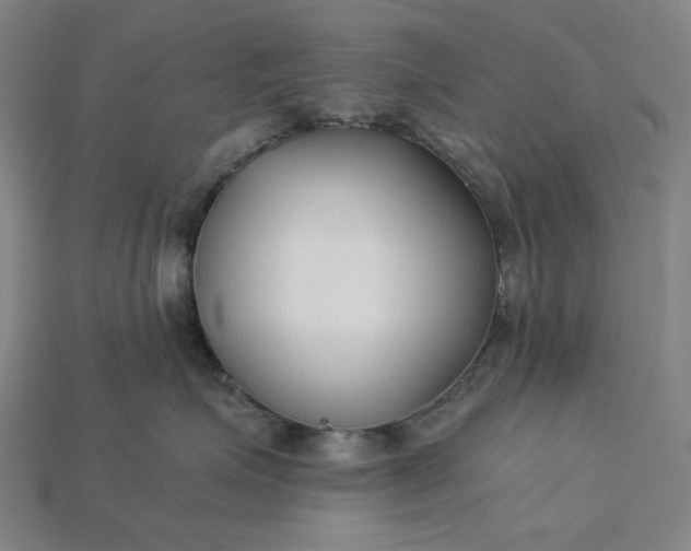 X0000115240623200911131705