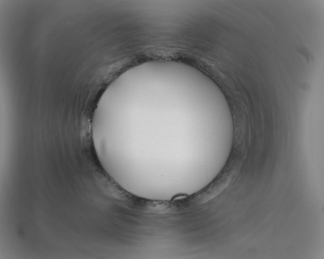 X0000115240624200911131705