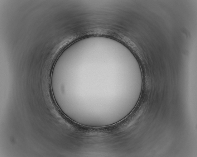 X0000115240625200911131705