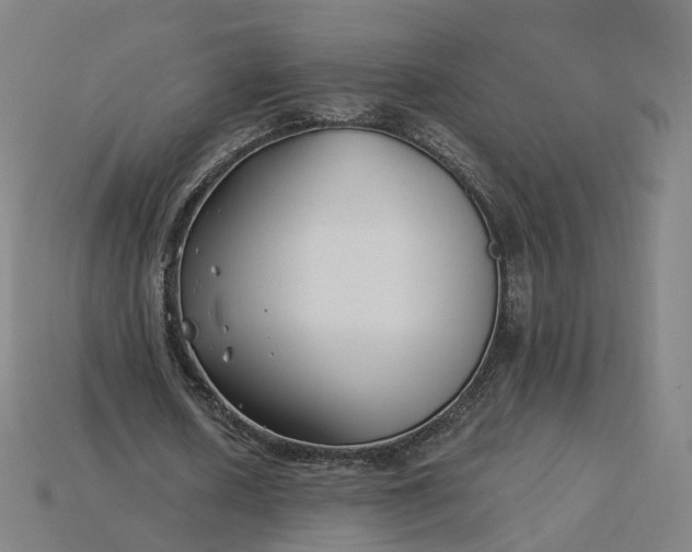 X0000115240626200911131705
