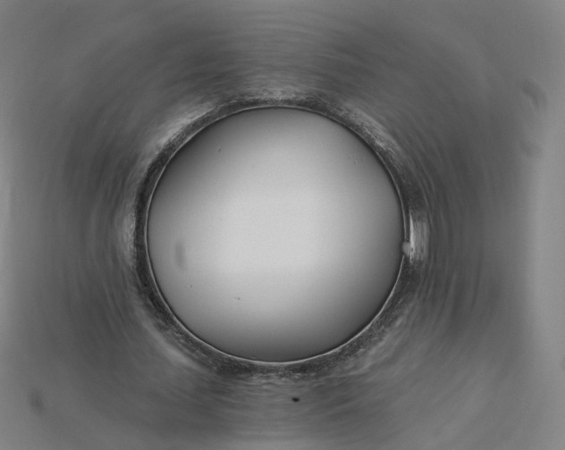 X0000115240627200911131705