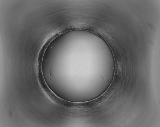 X0000115240630200911131705