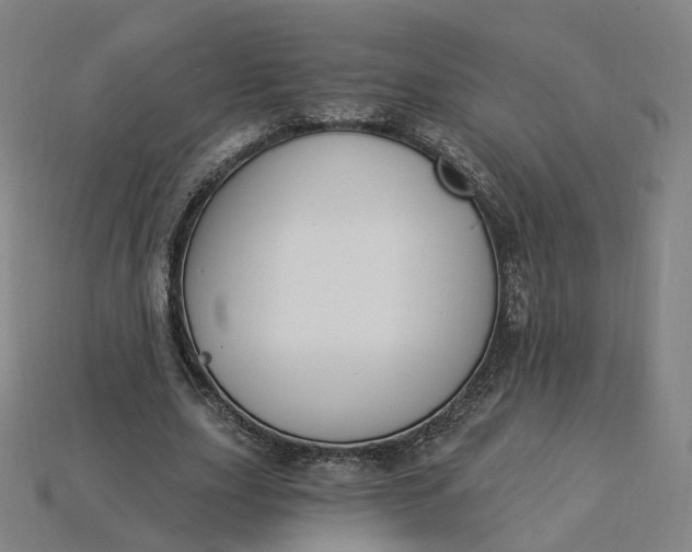 X0000115240631200911131705