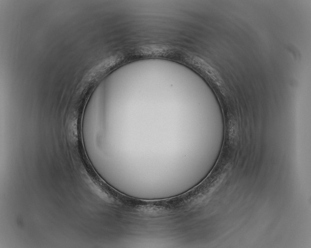 X0000115240633200911131705