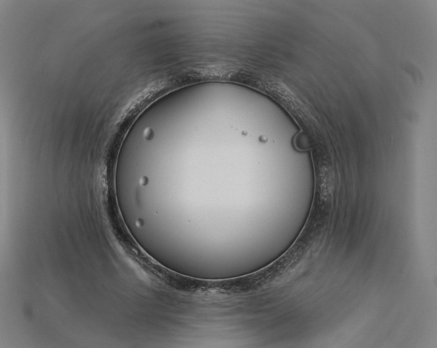X0000115240634200911131705