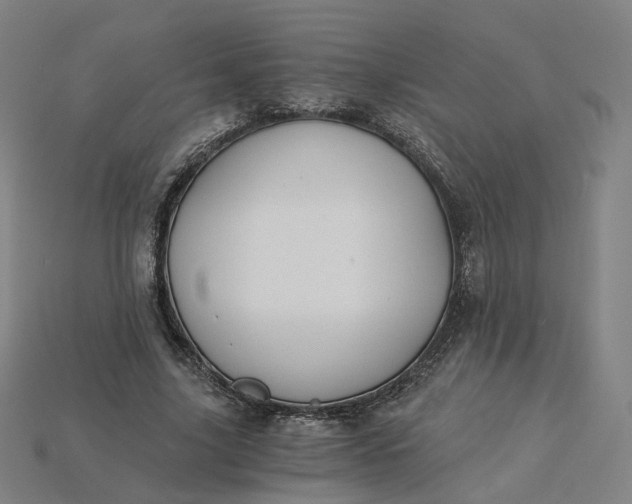 X0000115240635200911131705