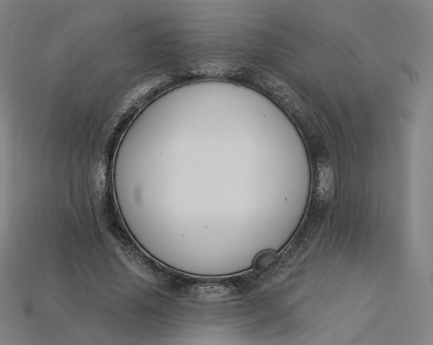 X0000115240636200911131705