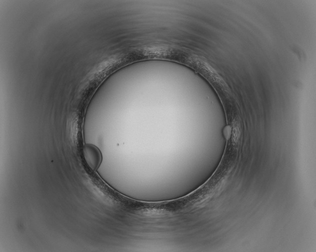 X0000115240637200911131705