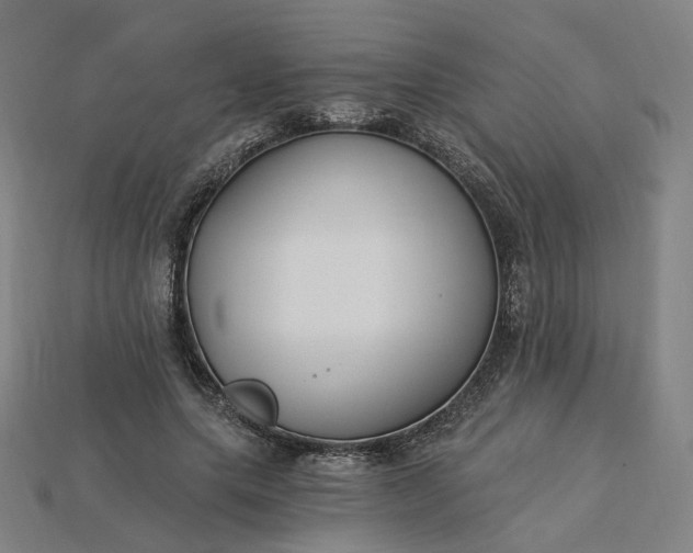 X0000115240639200911131705
