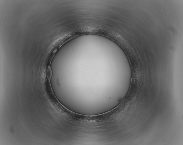X0000115240640200911131705