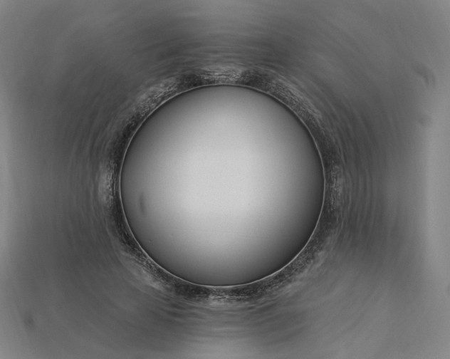 X0000115240641200911131705