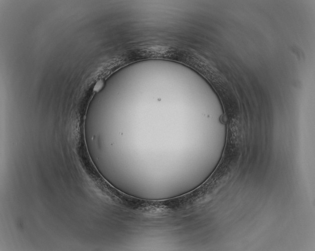 X0000115240642200911131705