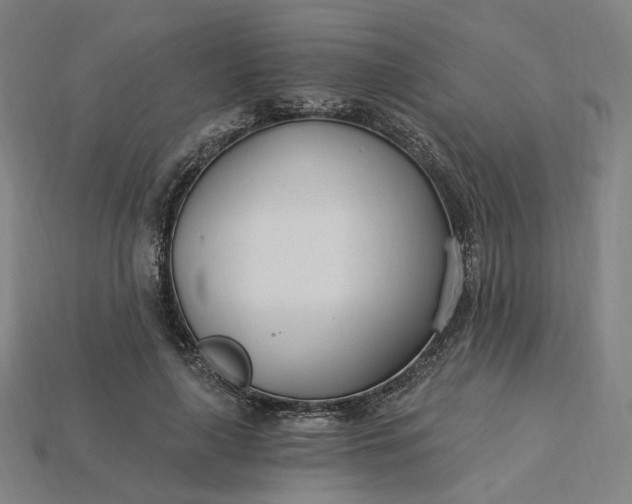 X0000115240643200911131705