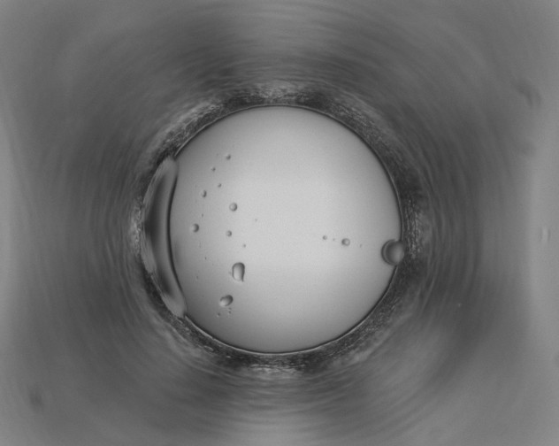 X0000115240644200911131705