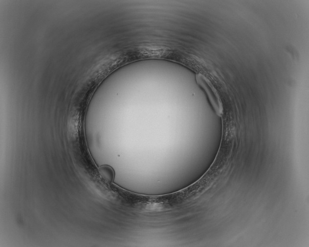X0000115240647200911131705