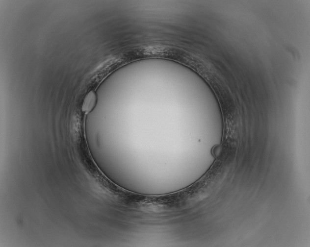 X0000115240648200911131705