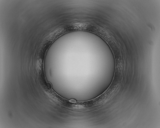 X0000115240649200911131705