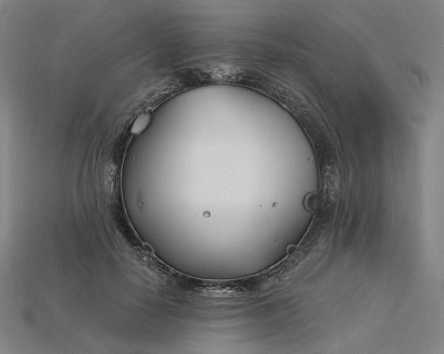 X0000115240650200911131705