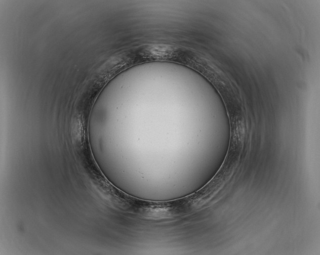 X0000115240651200911131705