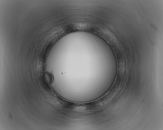 X0000115240653200911131705