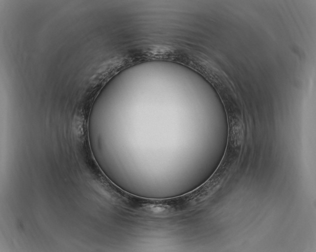 X0000115240654200911131705
