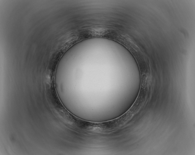 X0000115240655200911131705