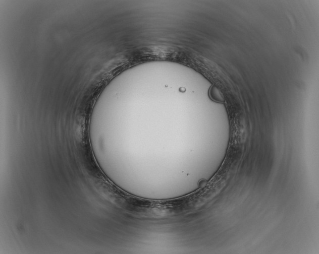 X0000115240656200911131705