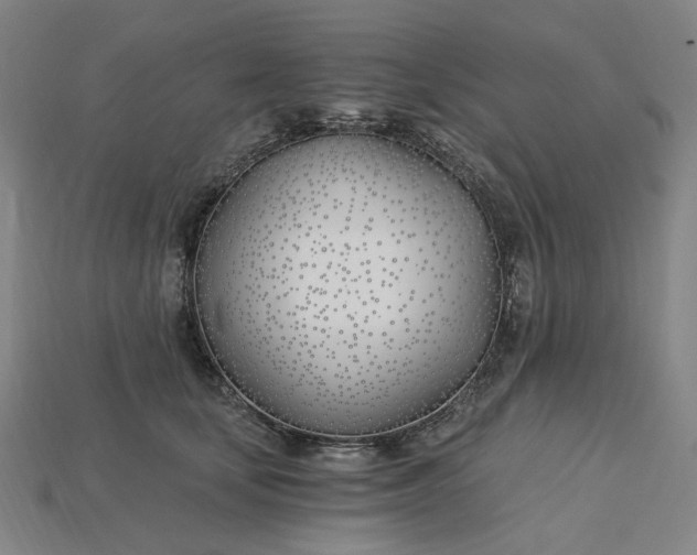 X0000115240659200911131705