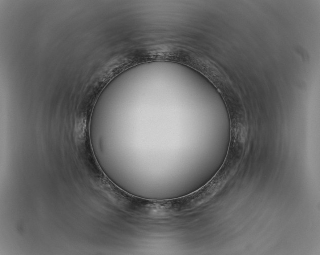 X0000115240660200911131705
