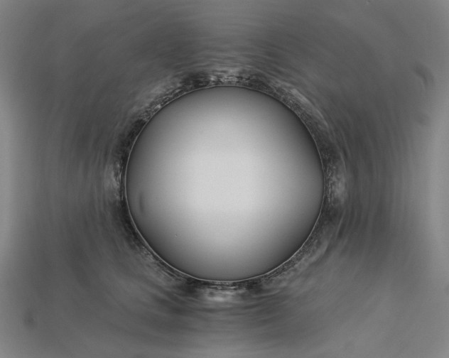 X0000115240661200911131705