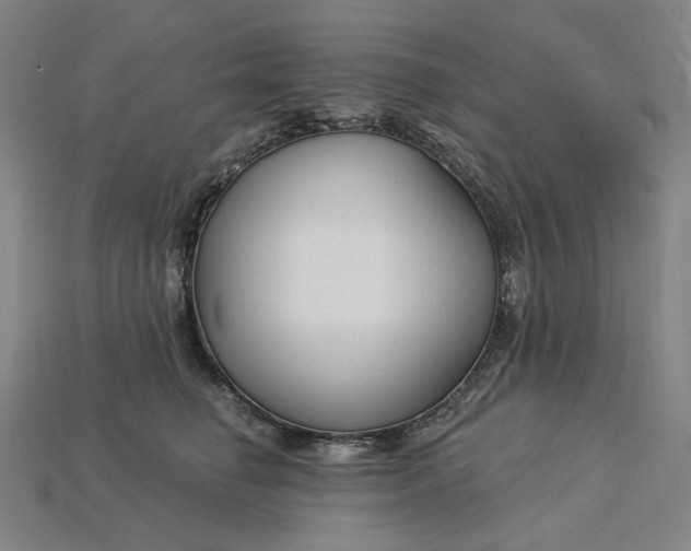 X0000115240662200911131705