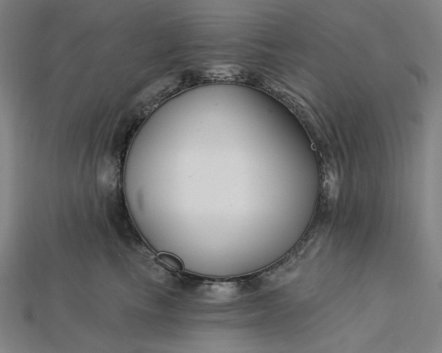 X0000115240665200911131705