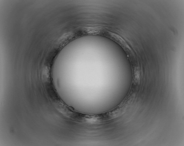 X0000115240667200911131705