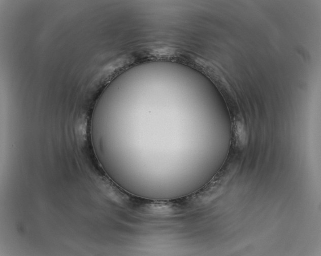 X0000115240668200911131705