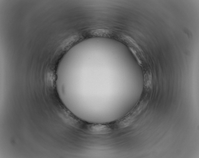 X0000115240669200911131705
