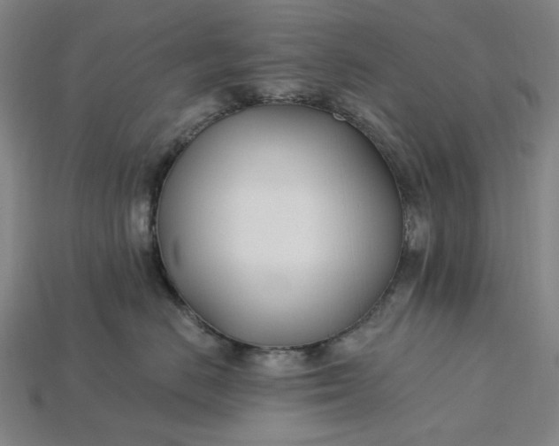 X0000115240670200911131705