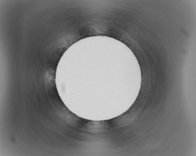X0000115240672200911131705