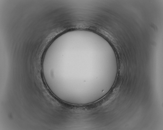 X0000115240673200911131705