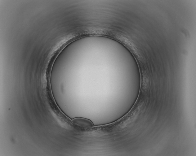 X0000115240674200911131705