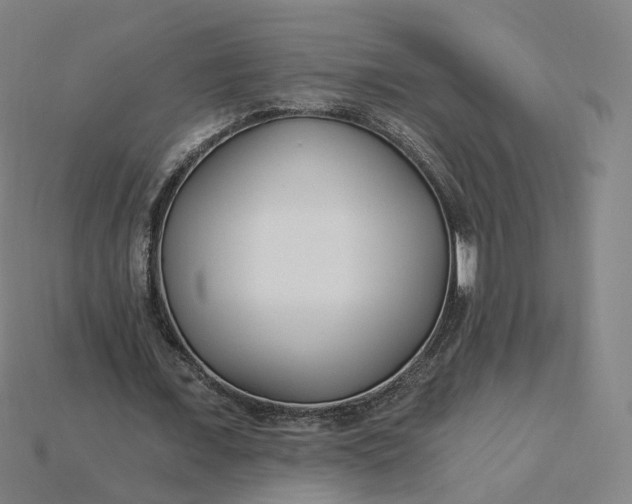 X0000115240675200911131705