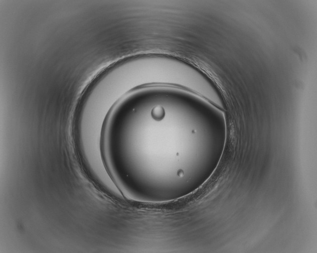 X0000115240676200911131705